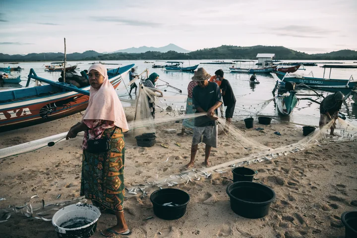 A fishing community working together with nets and boats at the shoreline.